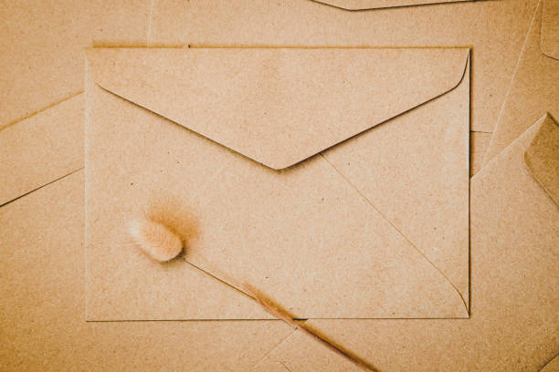 brown paper envelope with rabbit tail dry flower. close-up of craft envelope. flat lay minimalism. - sj bildbanksfoton och bilder