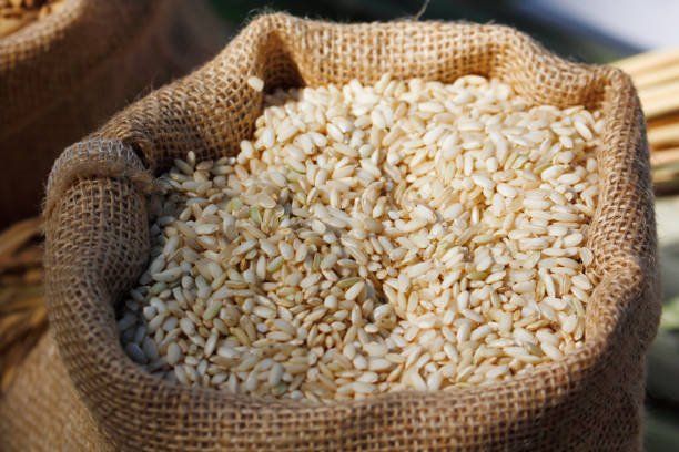 Brown rice in bag stock photo