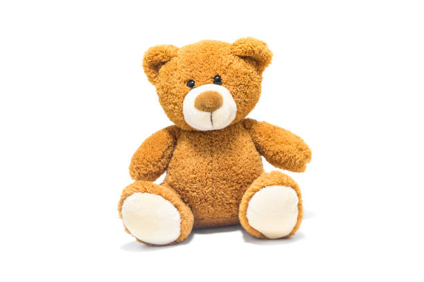 bruin teddybeer geïsoleerd voor een witte achtergrond. - speelgoed stockfoto's en -beelden