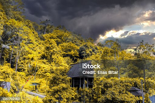 istock Brown Timber hut in Kathu forest near water fall district mountains surrounded by lush green trees Phuket Thailand dark skies yellow trees 1361702183