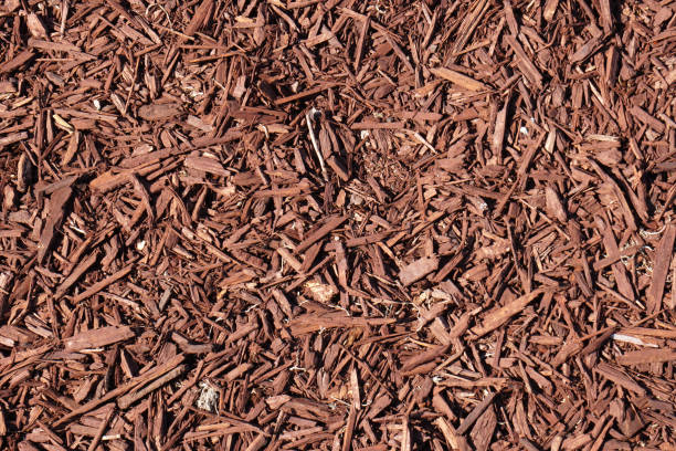 chispas astillas de madera en el suelo - textura de fondo - fondo de la naturaleza - mulch fotografías e imágenes de stock