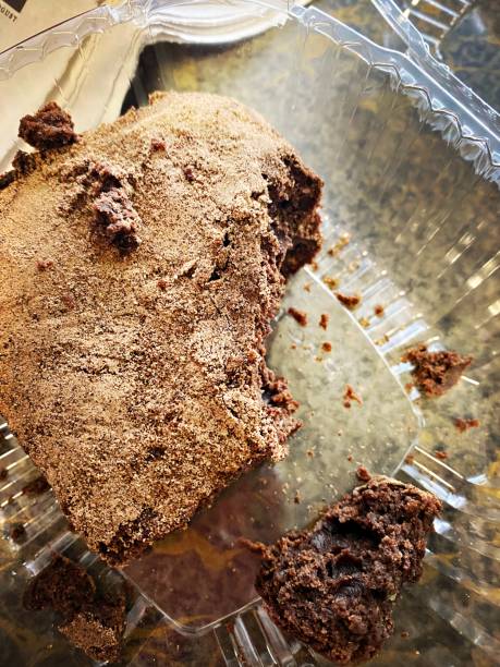 Brownie in a Plastic Container with a Bite Taken Out stock photo