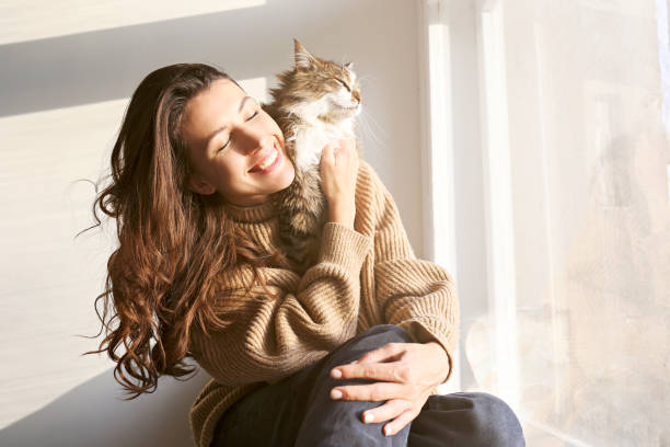 Brunette female in knitted sweater with her fluffy cat. Portrait of young woman holding cute siberian cat with green eyes. Female hugging her cute long hair kitty. Background, copy space, close up. Adorable domestic pet concept. window sill photos stock pictures, royalty-free photos & images