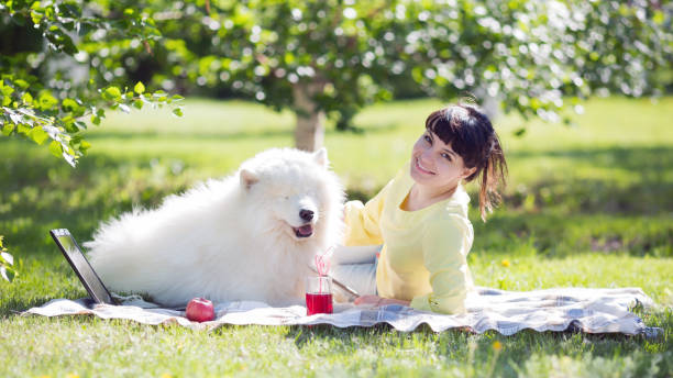 A brunette girl with a white dog on nature. The girl and the big dog lie on the grass in the city park. beautiful young brunette girl playing with her dog stock pictures, royalty-free photos & images