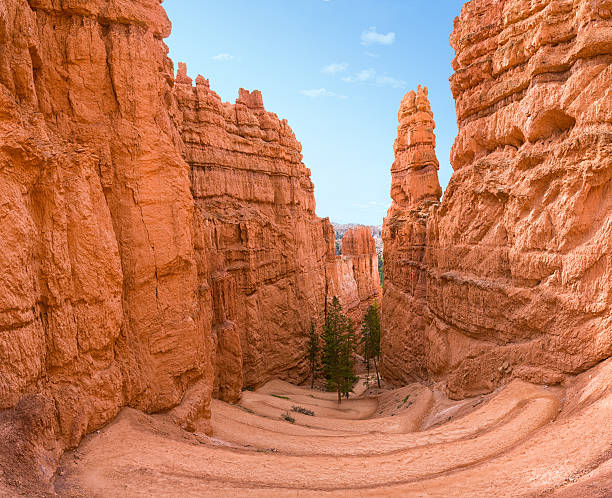 Bryce canyon gorge Twisting trail leading down to the bottom of the Bryce canyon gorge bryce canyon national park stock pictures, royalty-free photos & images