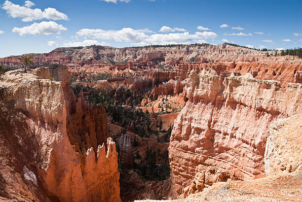 Canyon and Distant Cliffs Bryce Canyon is famous for its tall thin spires of rock known as hoodoos. Hoodoos start with an initial deposition of rock. Then over time the rock is uplifted then eroded and weathered. Hoodoos typically consist of relatively soft rock topped by harder, less easily eroded stone that protects each column from the weather. Hoodoos generally form within sedimentary rock such as sandstone. These hoodoos were photographed from the Queen's Garden Trail in Bryce Canyon National Park, Utah, USA. jeff goulden bryce canyon national park stock pictures, royalty-free photos & images