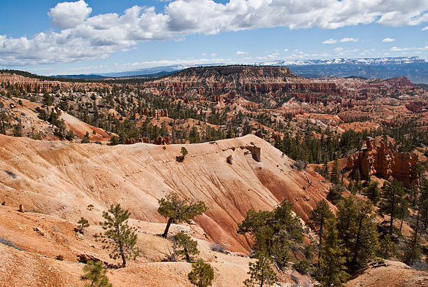 Sandstone Ridge and Canyon Bryce Canyon is famous for its tall thin spires of rock known as hoodoos. Hoodoos start with an initial deposition of rock. Then over time the rock is uplifted then eroded and weathered. Hoodoos typically consist of relatively soft rock topped by harder, less easily eroded stone that protects each column from the weather. Hoodoos generally form within sedimentary rock such as sandstone. These hoodoos were photographed from the Queen's Garden Trail in Bryce Canyon National Park, Utah, USA. jeff goulden bryce canyon national park stock pictures, royalty-free photos & images