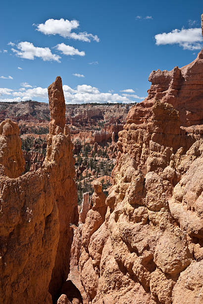 Hoodoos Formed from a Cliff Bryce Canyon is famous for its tall thin spires of rock known as hoodoos. Hoodoos start with an initial deposition of rock. Then over time the rock is uplifted then eroded and weathered. Hoodoos typically consist of relatively soft rock topped by harder, less easily eroded stone that protects each column from the weather. Hoodoos generally form within sedimentary rock such as sandstone. These hoodoos were photographed from the Queen's Garden Trail in Bryce Canyon National Park, Utah, USA. jeff goulden bryce canyon national park stock pictures, royalty-free photos & images