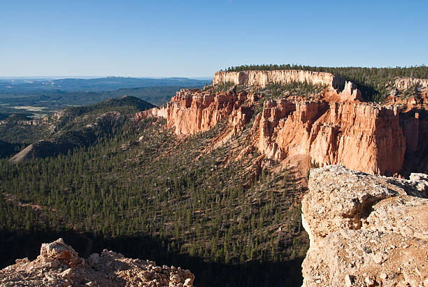 Canyon and Forested Valley from Paria View Bryce Canyon is famous for its tall thin spires of rock known as hoodoos. Hoodoos start with an initial deposition of rock. Then over time the rock is uplifted then eroded and weathered. Hoodoos typically consist of relatively soft rock topped by harder, less easily eroded stone that protects each column from the weather. Hoodoos generally form within sedimentary rock such as sandstone. These hoodoos were photographed from Paria View in Bryce Canyon National Park, Utah, USA. jeff goulden bryce canyon national park stock pictures, royalty-free photos & images