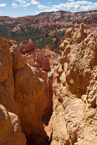 Slot Canyon and Hoodoos Bryce Canyon is famous for its tall thin spires of rock known as hoodoos. Hoodoos start with an initial deposition of rock. Then over time the rock is uplifted then eroded and weathered. Hoodoos typically consist of relatively soft rock topped by harder, less easily eroded stone that protects each column from the weather. Hoodoos generally form within sedimentary rock such as sandstone. These hoodoos were photographed from the Queen's Garden Trail in Bryce Canyon National Park, Utah, USA. jeff goulden bryce canyon national park stock pictures, royalty-free photos & images