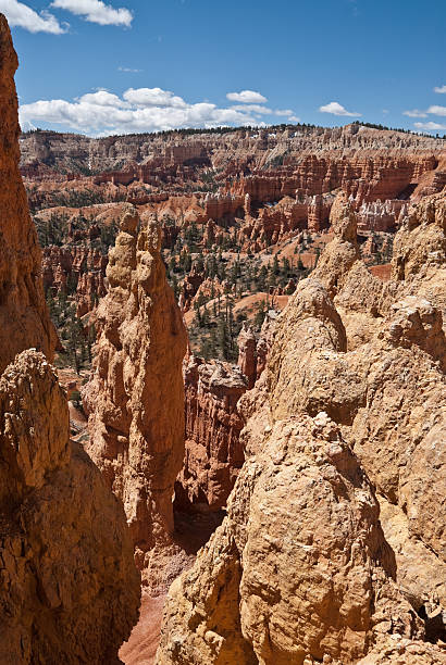 Hoodoos Near and Distant Bryce Canyon is famous for its tall thin spires of rock known as hoodoos. Hoodoos start with an initial deposition of rock. Then over time the rock is uplifted then eroded and weathered. Hoodoos typically consist of relatively soft rock topped by harder, less easily eroded stone that protects each column from the weather. Hoodoos generally form within sedimentary rock such as sandstone. These hoodoos were photographed from the Queen's Garden Trail in Bryce Canyon National Park, Utah, USA. jeff goulden bryce canyon national park stock pictures, royalty-free photos & images