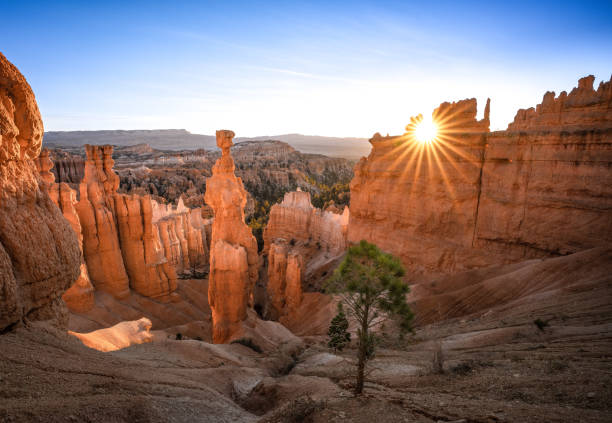 Bryce Canyon National Park with sunset stock photo