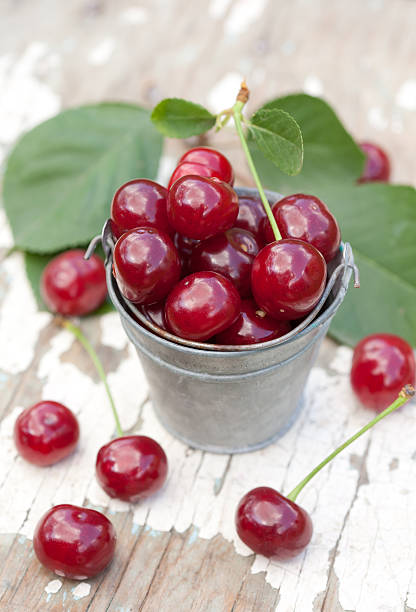Bucket of ripe red cherry stock photo