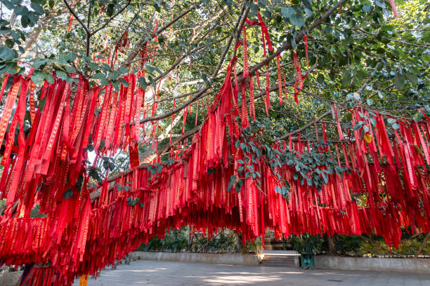 Buddhist payers hanging from a tree in Xishuangbanna, Yunnan - China stock photo