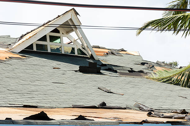 how to report hurricane damage to insurance
