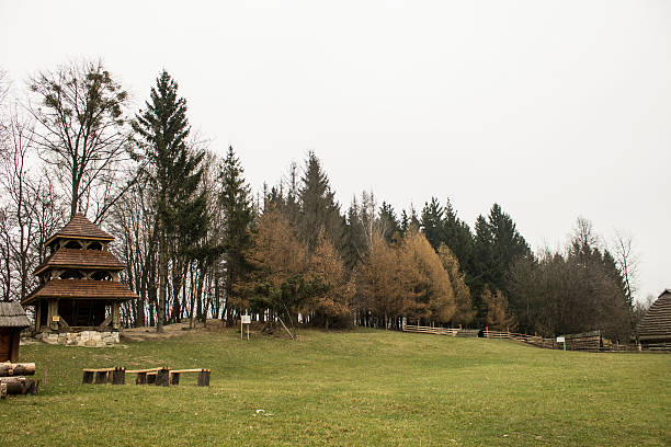 built of wood in the forest green field - shevchenko 個照片及圖片檔