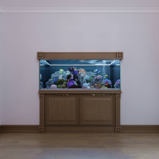ingebouwde aquarium met een kastje eronder in een klassieke stijl in een houten frame. - zoetwaterkwal stockfoto's en -beelden