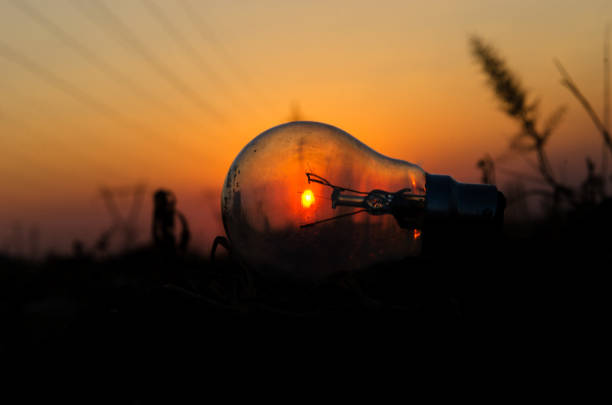 Bulb with sunset in background stock photo