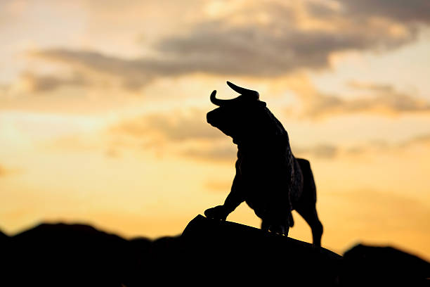 Bull and bear market stock photo