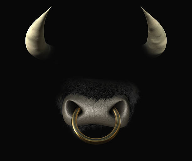 Bull Nose Ring Stock Photos, Pictures & RoyaltyFree Images iStock