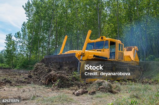 istock Bulldozer. Eradicating forest. 624215574