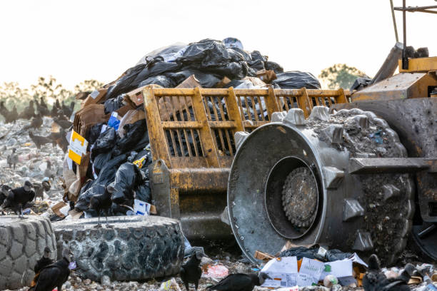 Bulldozer pushes trash at the landfill with black vultures waiting for food stock photo