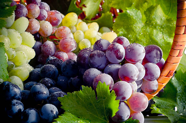 Bunch of different types of fresh grapes Fresh grapes and basket composition. grape stock pictures, royalty-free photos & images
