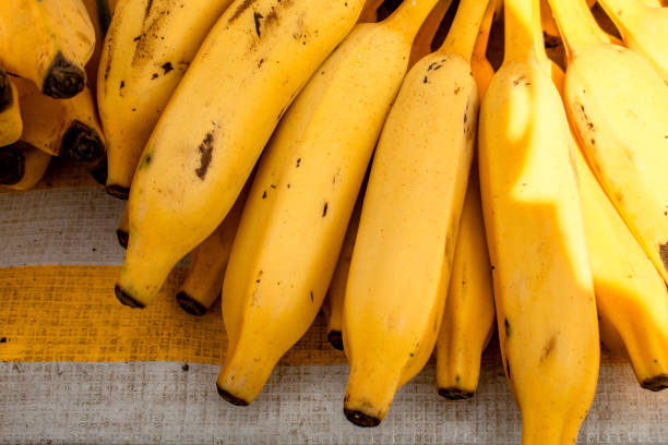 Confira 6 curiosidades sobre a banana