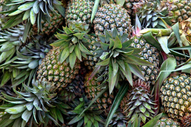 eine handvoll frische ananas auf die ladentheke - pineapple plantation stock-fotos und bilder