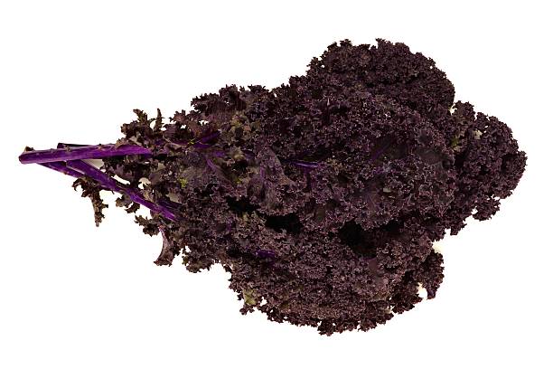 Bunch of fresh red kale over a white background stock photo