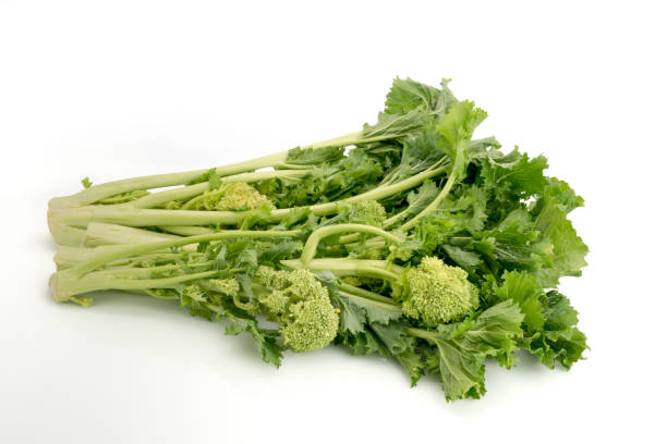 Bunch of fresh turnip tops Bunch of fresh turnip tops , italian cime di rapa, isolated on white background broccoli rabe stock pictures, royalty-free photos & images