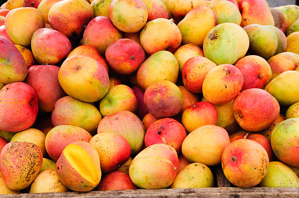 Bunch of mangoes at a fruit stand stock photo