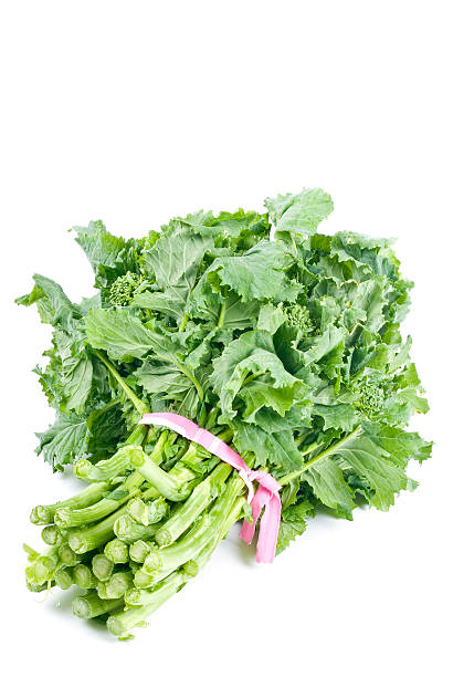 Bunch of Rapini  broccoli rabe stock pictures, royalty-free photos & images