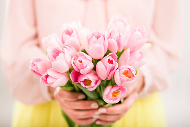 Bunch of tulips in woman's hands, shallow dof. stock photo