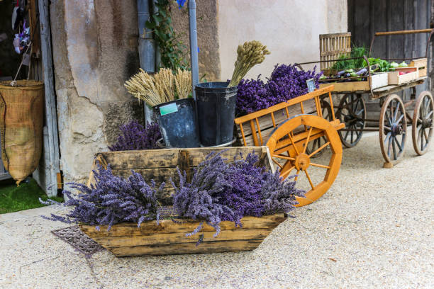 bunches of lavender for sale on the street stock photo