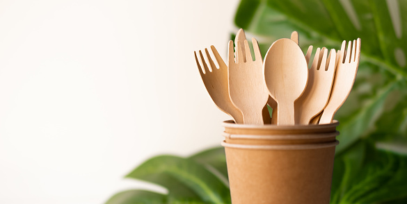 bunner eco friendly disposable kitchenware utensils on white background. wooden forks and spoons in paper cup. and green leaf. ecology, zero waste concept. copyspace.