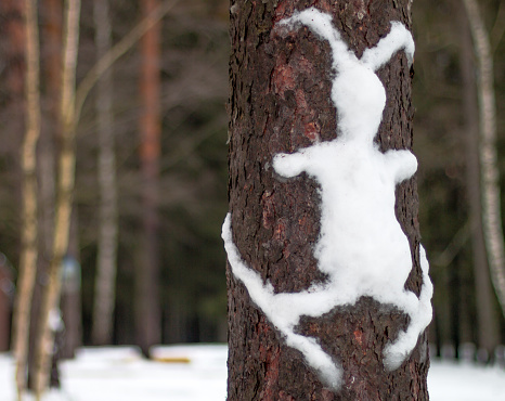 bunny made of snow on a trunk