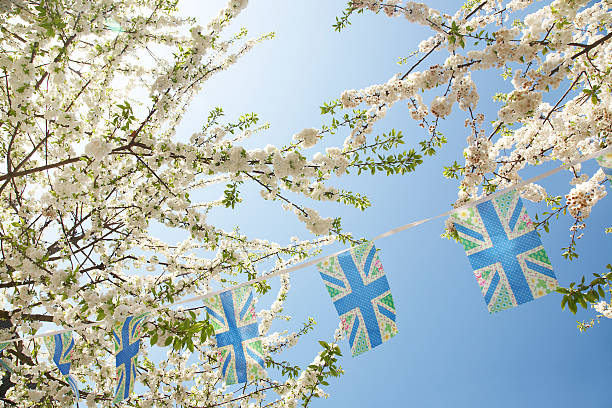 Bunting in the blossoms stock photo