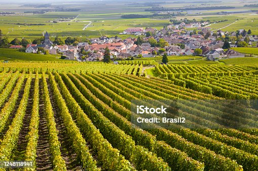 istock Burgundy vineyards 1248118941