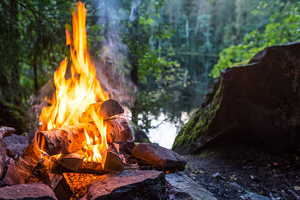 Burning campfire stock photo