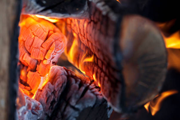 Burning log of wood stock photo