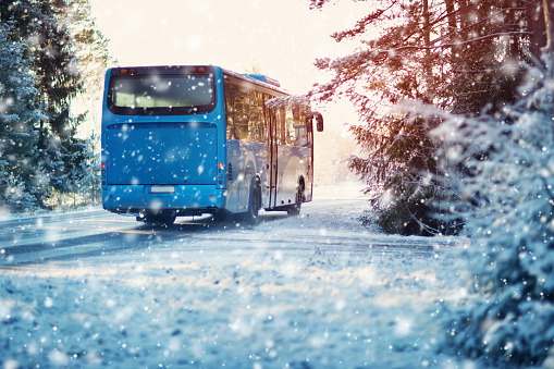 bus on winter road through coniferous forest