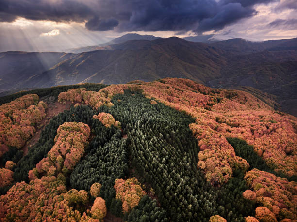 Buseva mountain in Macedonia stock photo
