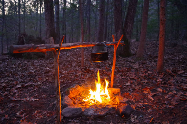 Bushcraft campfire for cooking with primitive debris hut shelter in the background. Wilderness survival skill Campfire roaring under cooking pot at nighttime. bushcraft stock pictures, royalty-free photos & images