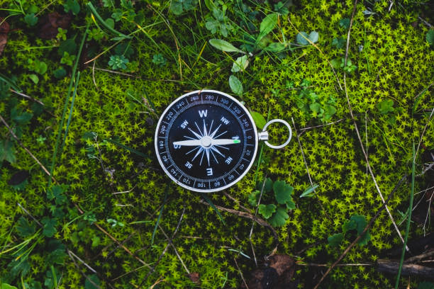 bushcraft compass in forest stock photo