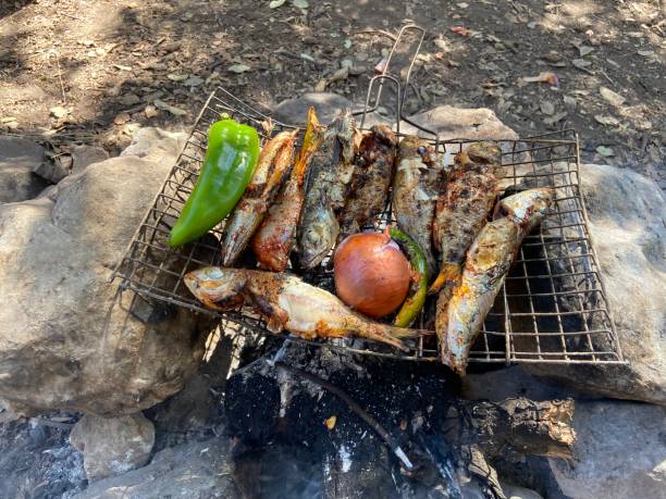 Bushcraft grilled fish Bushcraft grilled fish close to a river deep in the Atlas Mountains. bushcraft stock pictures, royalty-free photos & images