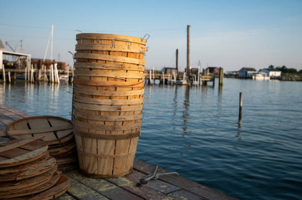 Bushel baskets for Maryland blue crabs wooden basket-like container that crabbers use to store crabs piled up on a pier in Tangier Island in the Chesapeake Bay. tangier island stock pictures, royalty-free photos & images