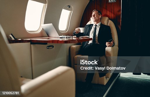 istock Businessman in private jet 1210052781