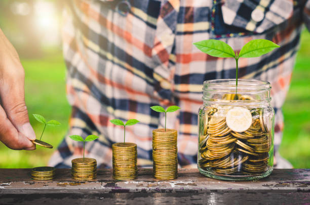 스택에 녹색 잎 동전을 넣어 사업가 는 야외 나무 테이블에 유리 항아리에 성장 돈을 절약 할 수 있습니다. 비즈니스 금융 금융 저축 개념. 투자이익. 마케팅 스타트업의 성공을 이끌었습니다. - esg 뉴스 사진 이미지