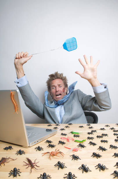 businessman swatting bugs on desk - vliegenmepper stockfoto's en -beelden